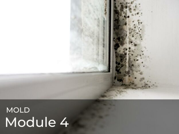 Module 4