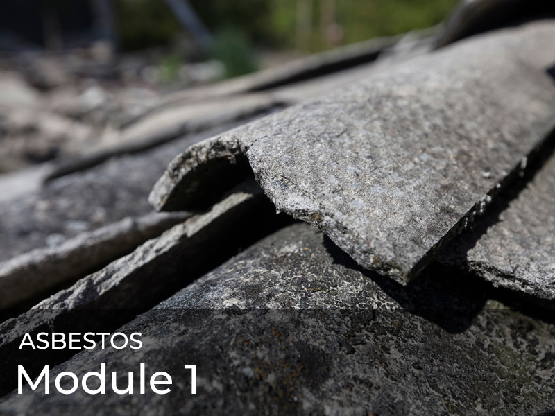 Module 1